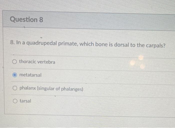 Solved Question 8 8. In a quadrupedal primate, which bone is | Chegg.com