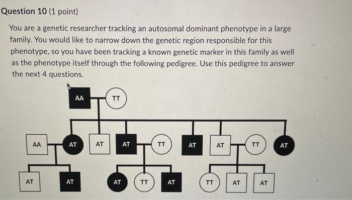 Solved You are a genetic researcher tracking an autosomal | Chegg.com