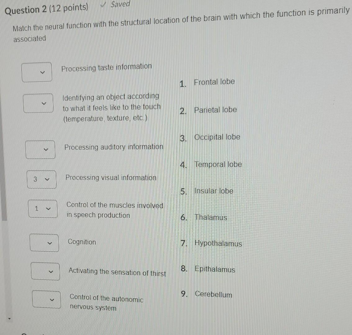 Solved Question 2 (12 points) Saved Match the neural | Chegg.com