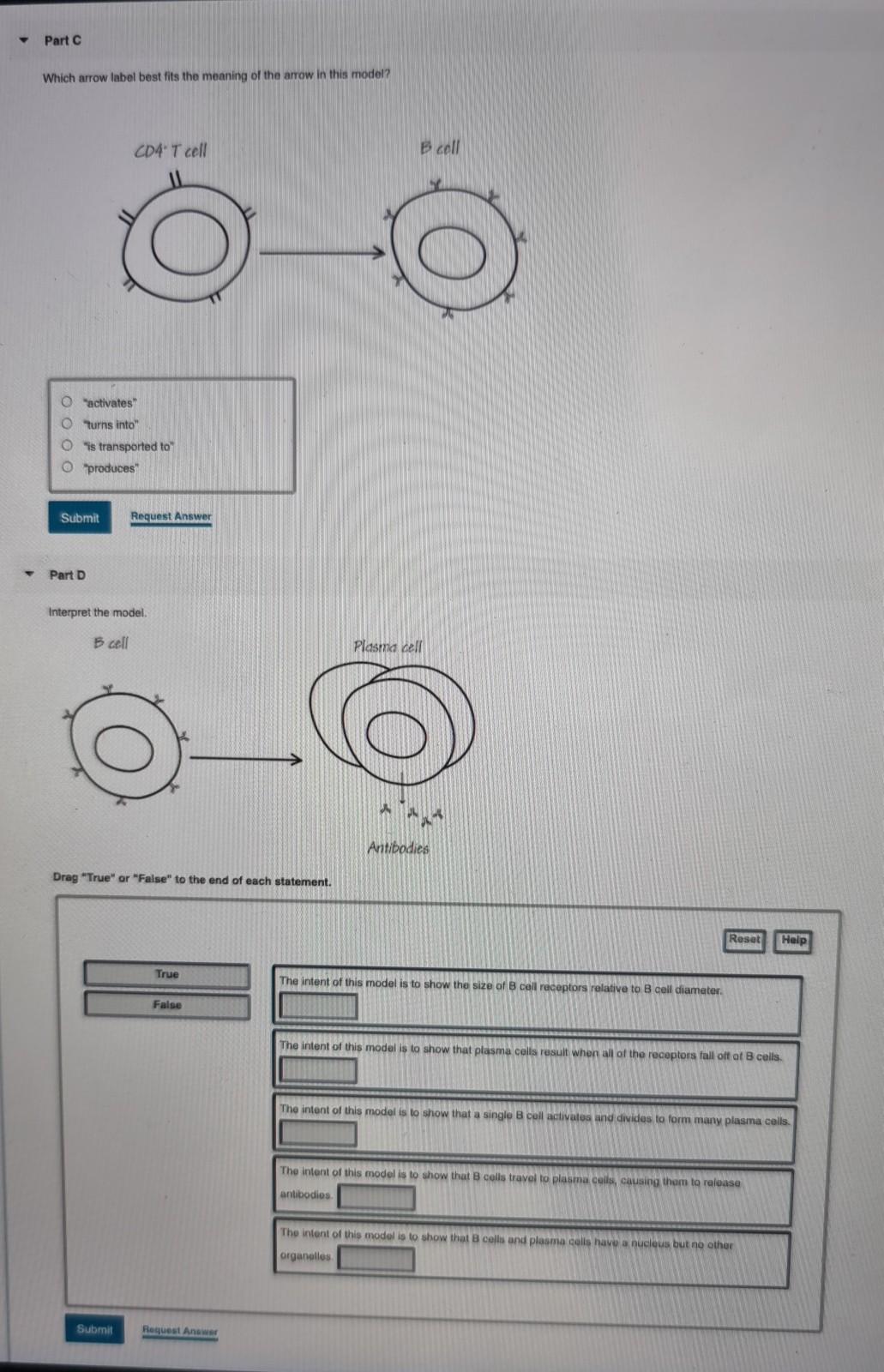 Solved Part A Interpret the cell models 10 Drag "True" or | Chegg.com