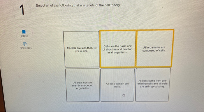 solved-select-all-of-the-following-that-are-tenets-of-the-chegg