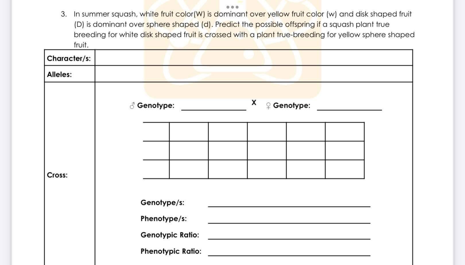 Solved 3. In summer squash, white fruit color(W) is dominant