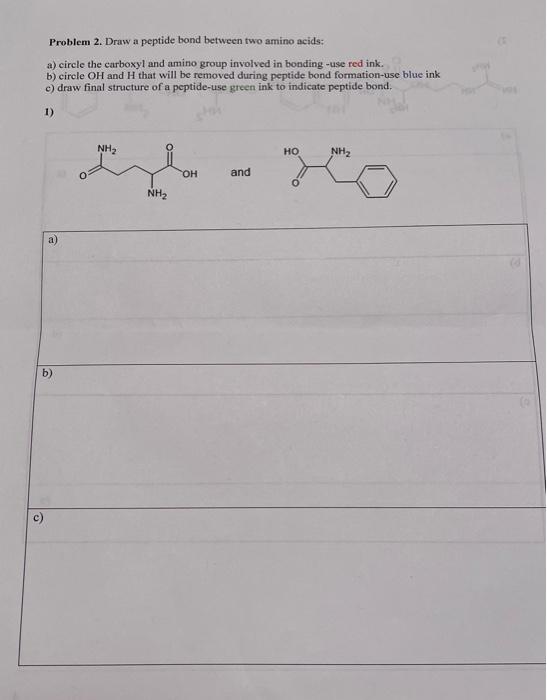Solved Problem 2. Draw a peptide bond between two amino | Chegg.com