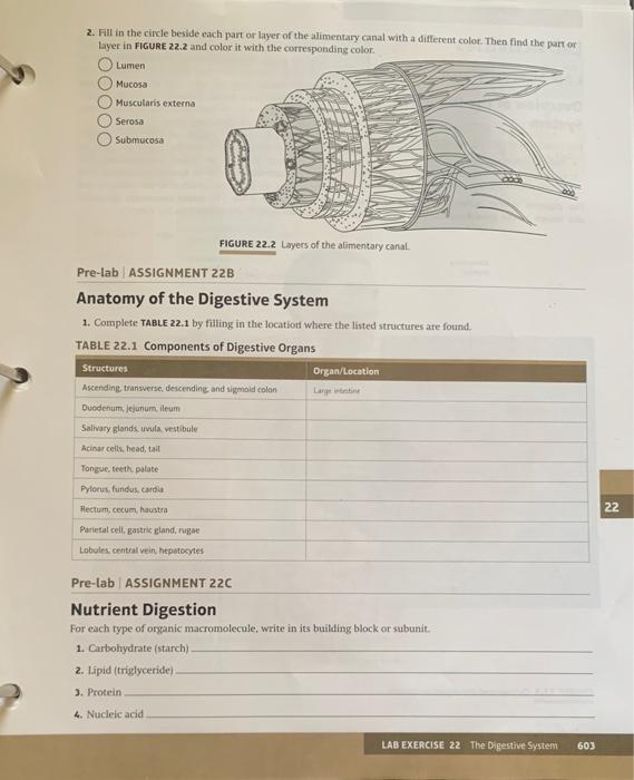 Solved 2. Fill in the circle beside each part or layer of