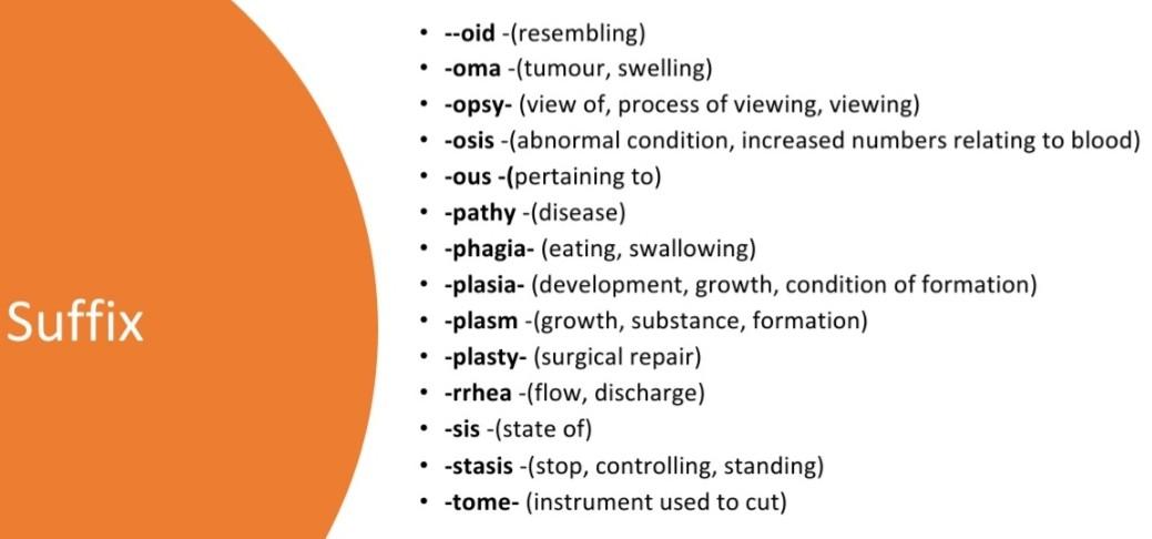 solved-medical-terminology-template-1-use-the-medical-word-chegg