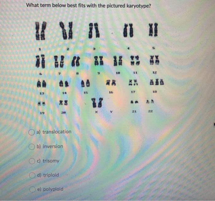 Solved The image shown below is a karyotype of an individual | Chegg.com