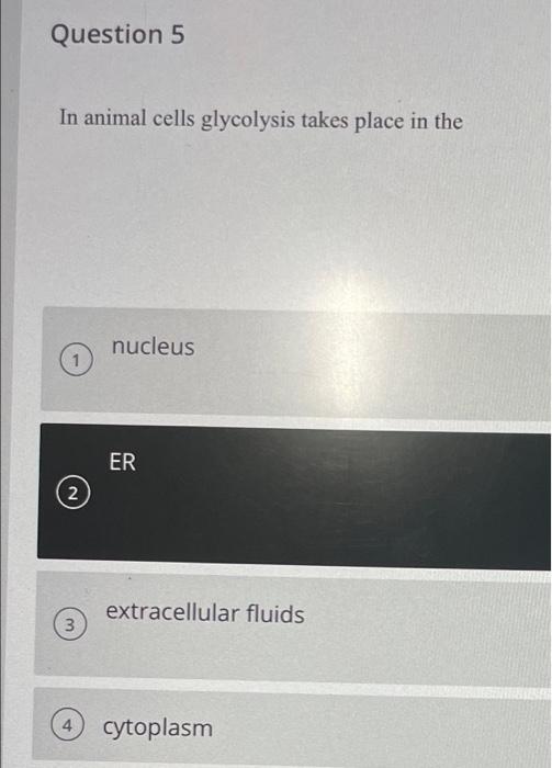 Solved could you please check my answers and explain then if | Chegg.com