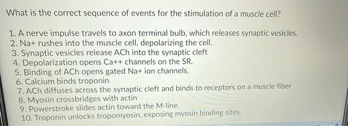 Solved What is the correct sequence of events for the | Chegg.com