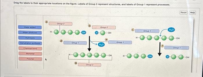 Solved Drag the labels to their appropriate locations on the | Chegg.com