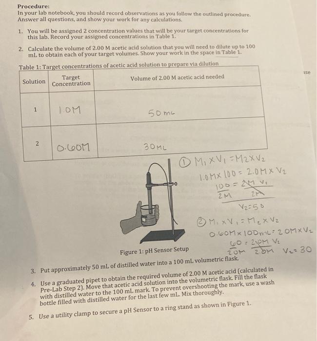 Procedure: In your lab notebook, you should record | Chegg.com
