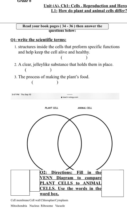 Solved Rude O Unit A Ch1 Cells Reproduction And Her Chegg Com