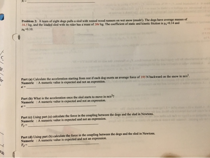 a team of eight dogs pulls a sled