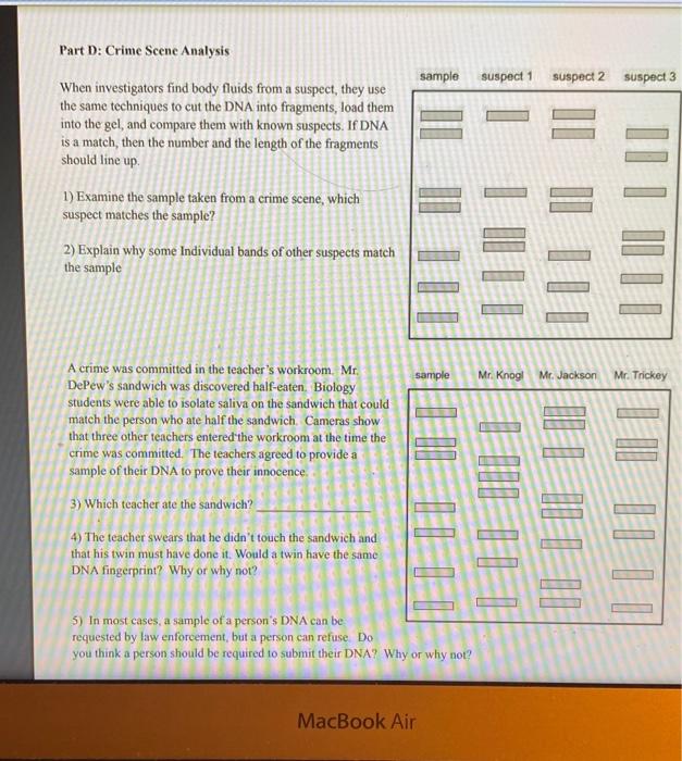 Solved Part D: Crime Scene Analysis sample suspect 1 suspect | Chegg.com