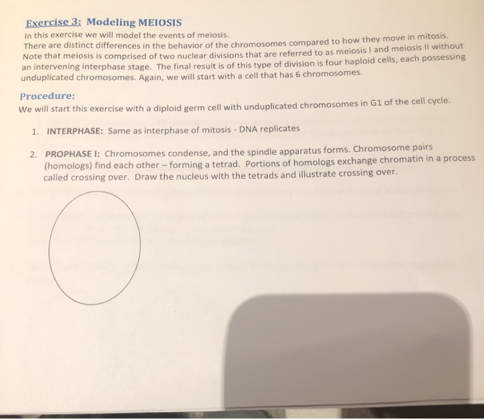 Solved Exercise 3 Modeling MEIOSIS In this exercise we will