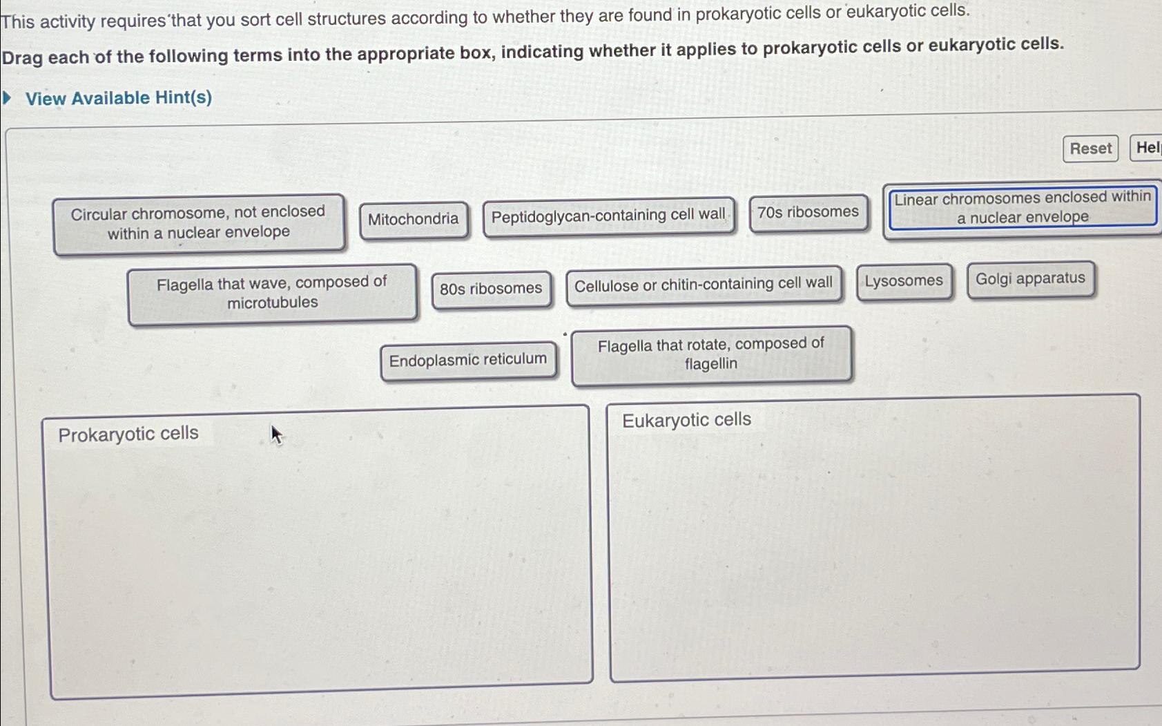 Solved This activity requires'that you sort cell structures | Chegg.com