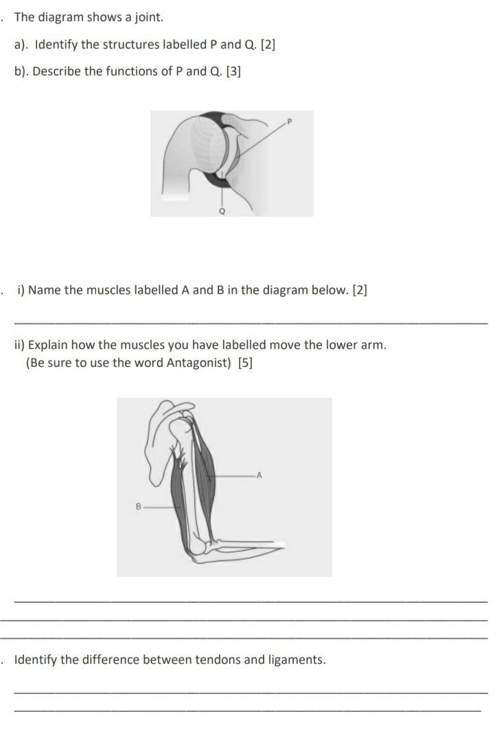 Solved Which of the following is not true of skeletal | Chegg.com