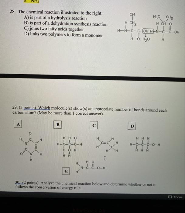 Fastest Dehydration Synthesis Gizmo Answers Free