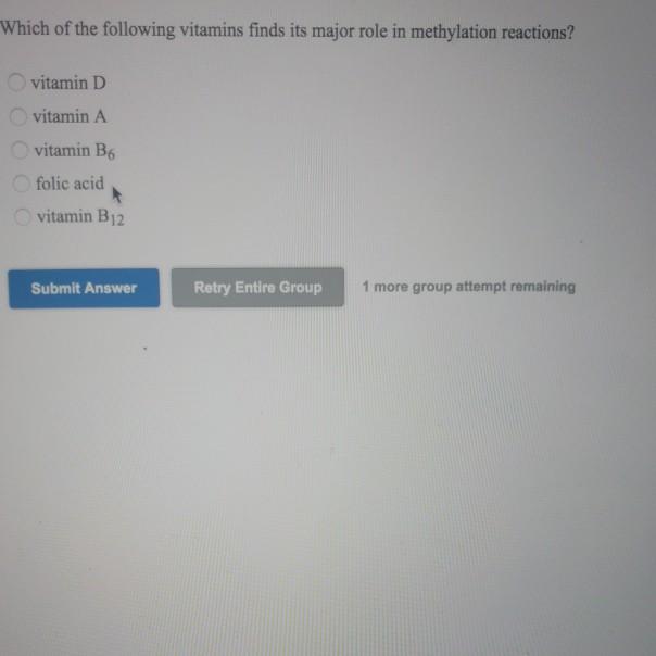 Solved Which Of The Following Vitamins Finds Its Major Role | Chegg.com
