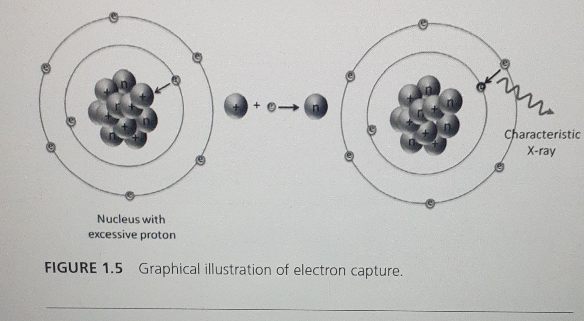 Solved Gamma rays n + r. + + + n Excited (unstable) nucleus | Chegg.com