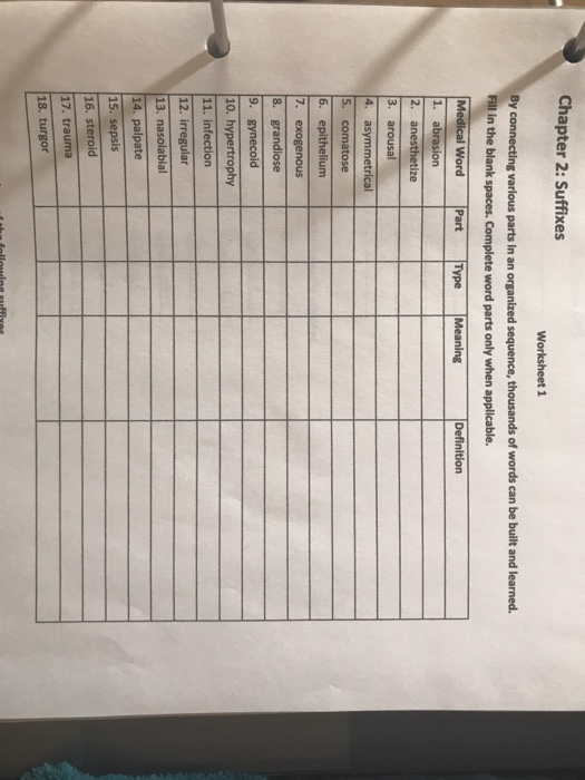 Chapter 2 Suffixes Worksheet 1 By Connecting Various Chegg Com