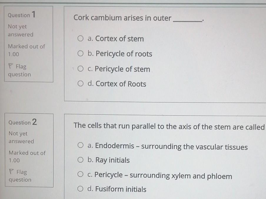 Solved Question 1 Cork cambium arises in outer Not yet