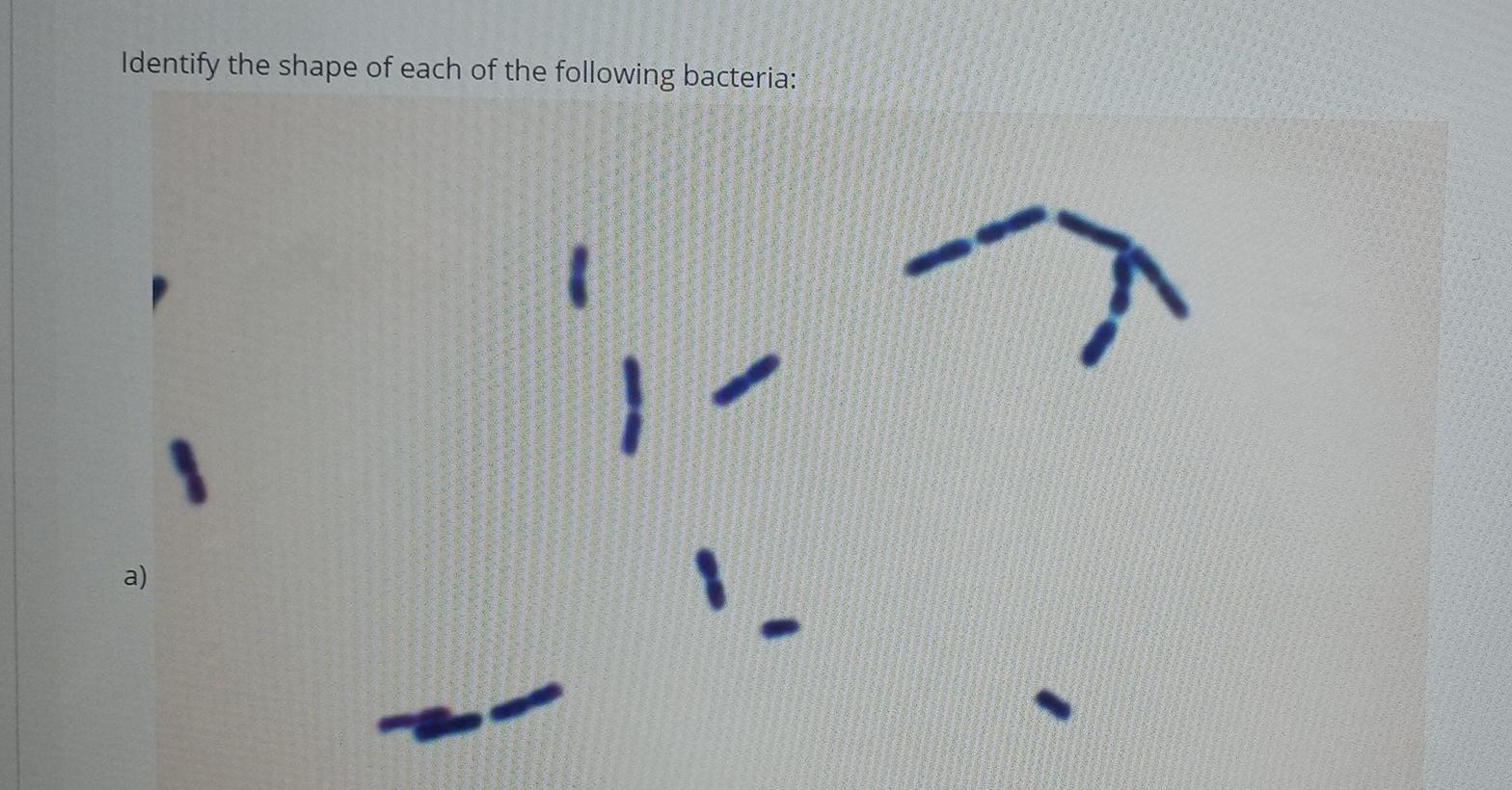 Solved Identify the shape of each of the following bacteria: | Chegg.com