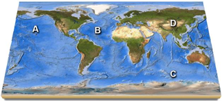 Solved: On this map, identify which letter is over a mid-ocean rid ...