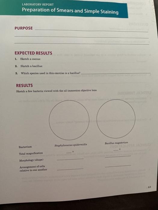 Solved LABORATORY REPORT Preparation of Smears and Simple