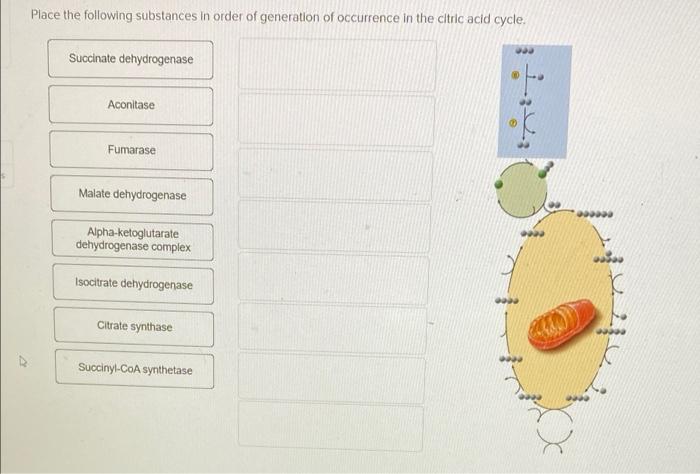 Solved Place The Following Substances In Order Of Generation