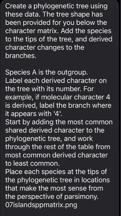 Solved Create a phylogenetic tree using these data. The tree | Chegg.com