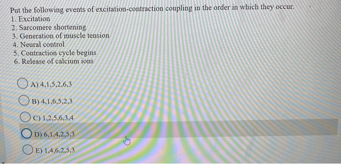 Solved Put the following events of excitation-contraction | Chegg.com