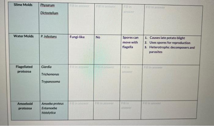 Solved 2. All protists are considered (choose eukaryotes or | Chegg.com