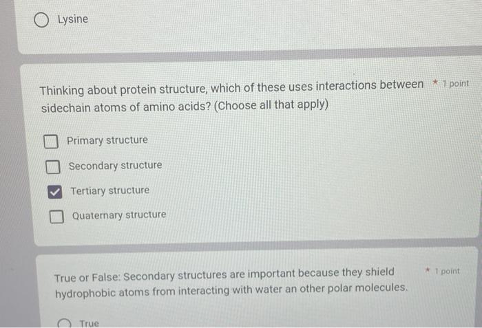 Lysine
Thinking about protein structure, which of these uses interactions between \( * 1 \) point sidechain atoms of amino ac