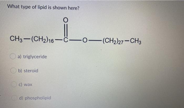 Solved What type of lipid is shown here? O CH3 -(CH2)16 | Chegg.com
