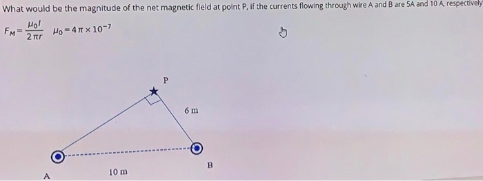 Solved What would be the magnitude of the net magnetic field | Chegg.com
