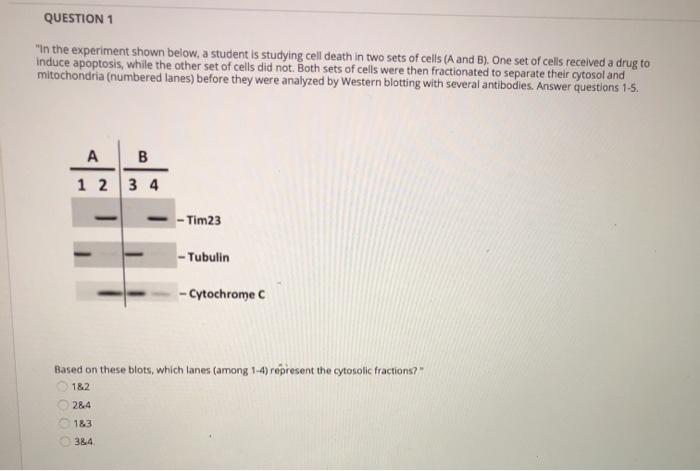 Solved QUESTION 1 "In the experiment shown below, a student | Chegg.com