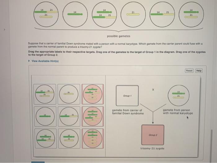 Solved Chromosomal mutations are changes in the normal | Chegg.com