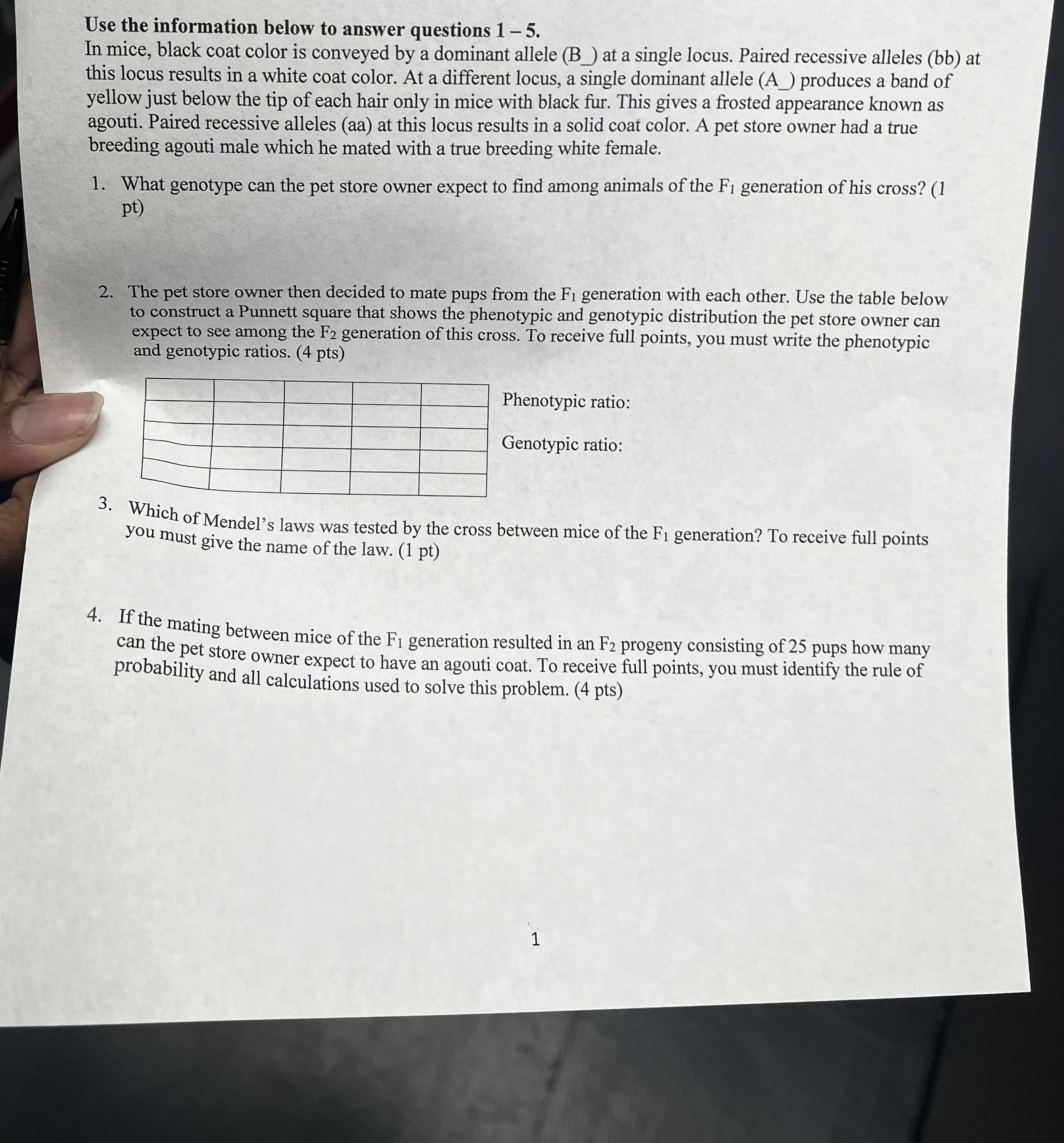 student submitted image, transcription available below