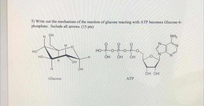 Solved 5) Write out the mechanism of the reaction of glucose | Chegg.com