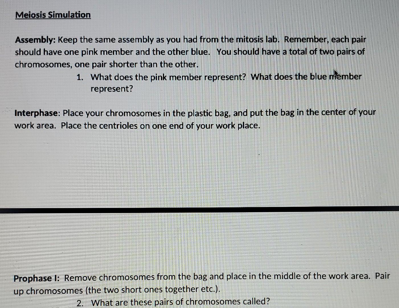 Activity 3 Using Pop Beads to Demonstrate Meiosis