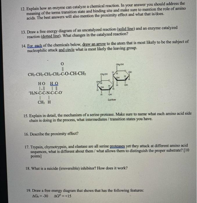 Solved 12. Explain how an enzyme can catalyze a chemical | Chegg.com