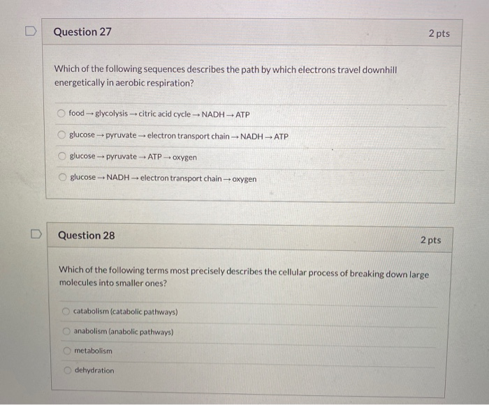 Solved: Question 27 2 Pts Which Of The Following Sequences... | Chegg.com