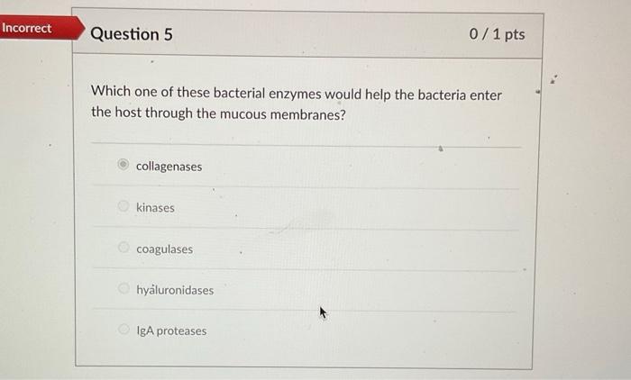 Solved Which one of these bacterial enzymes would help the | Chegg.com