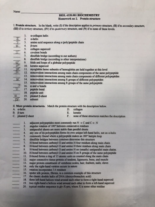 Solved Name BIOL 4320.001 BIOCHEMISTRY Homework no 2. | Chegg.com