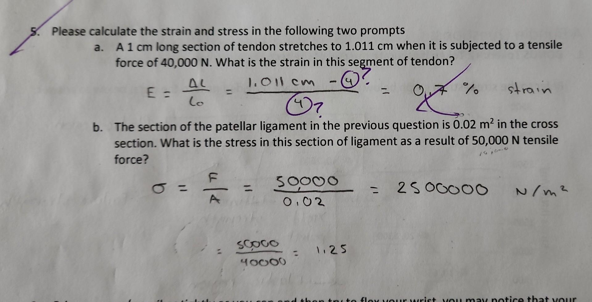 Solved Please calculate the strain and stress in the | Chegg.com