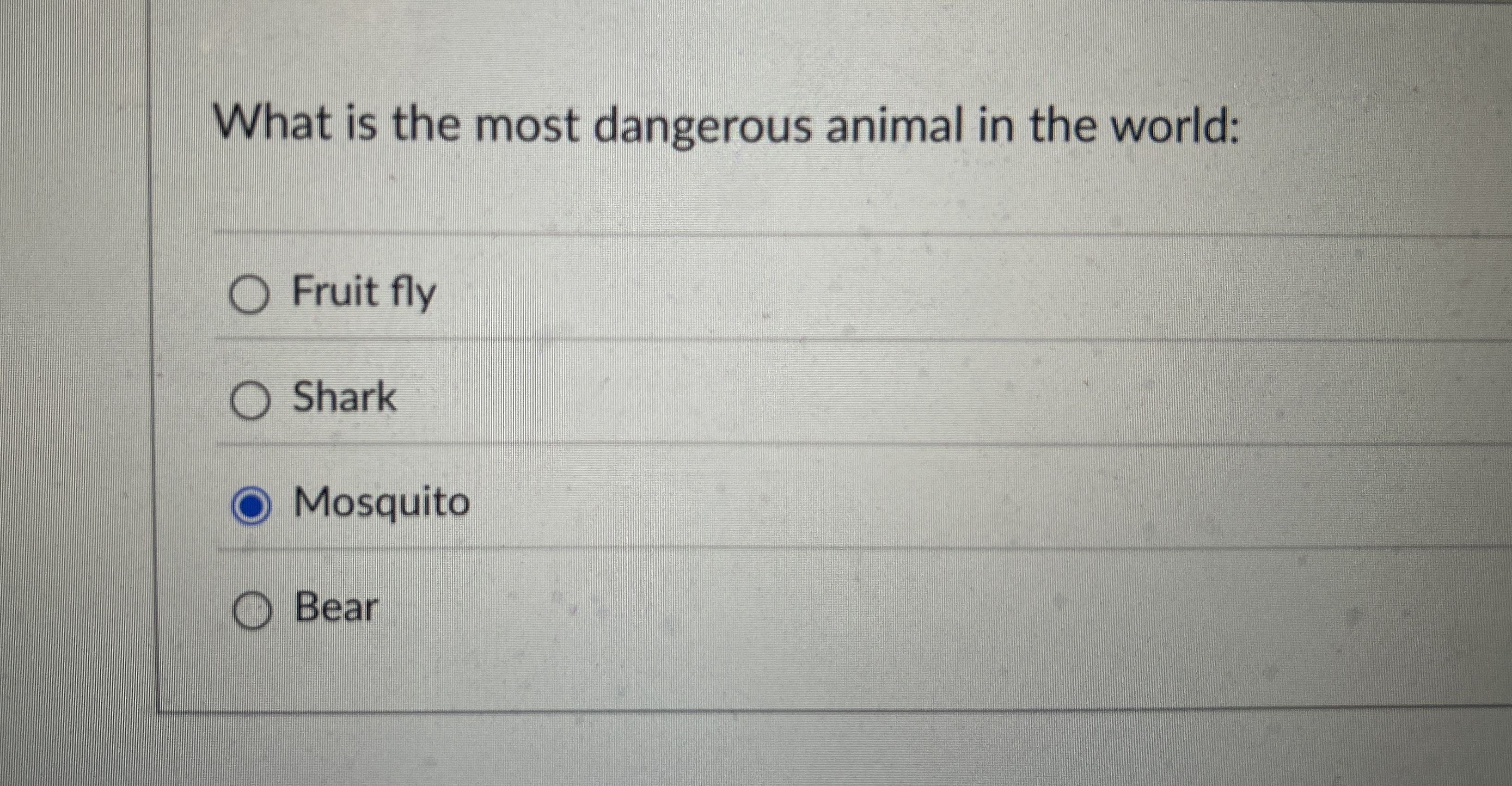 Solved What is the most dangerous animal in the worldFruit