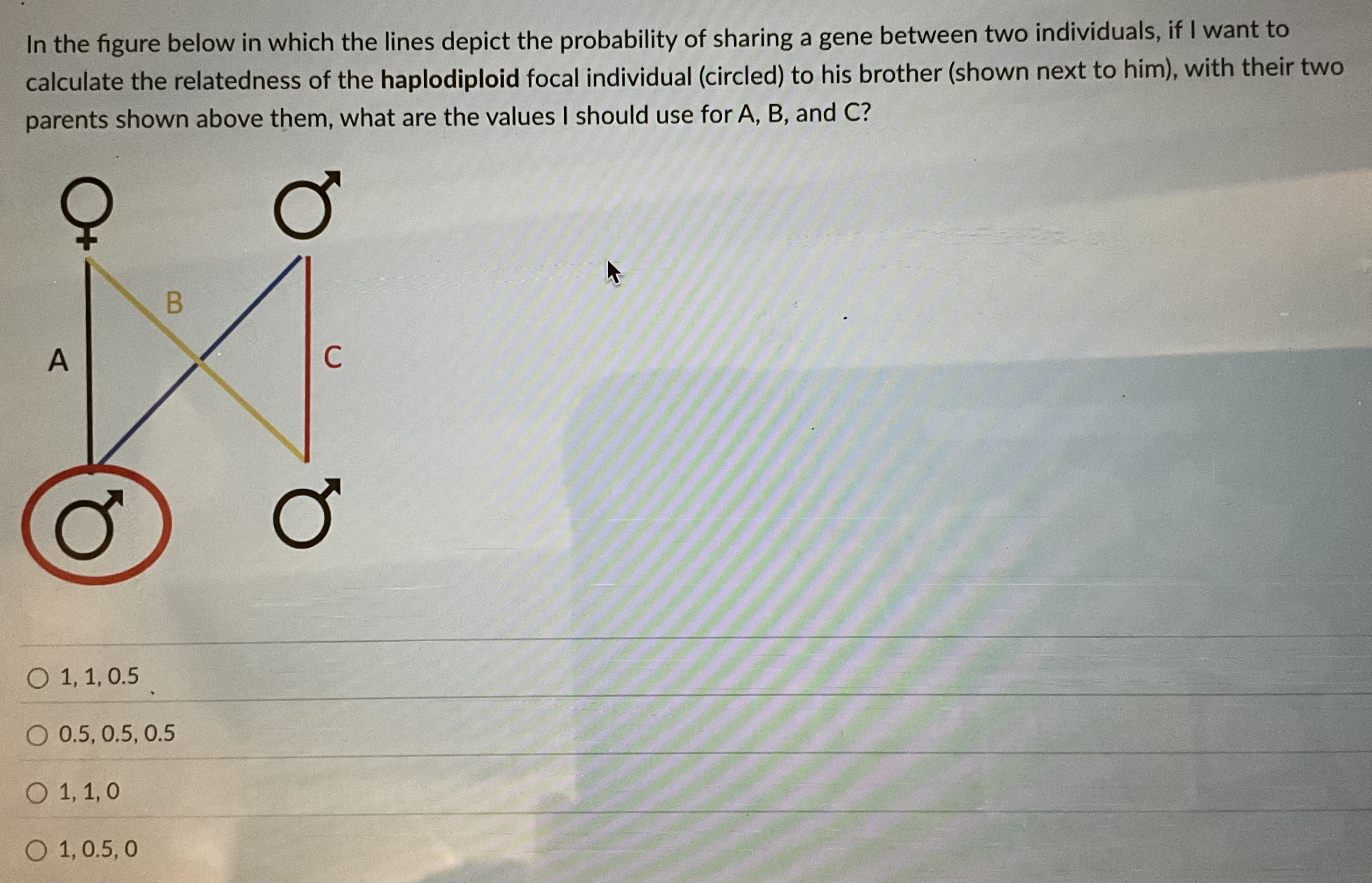 Solved In the figure below in which the lines depict the | Chegg.com