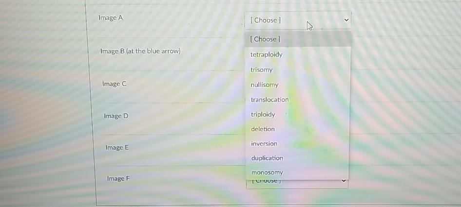 Solved Determine the type of chromosomal mutation that has | Chegg.com