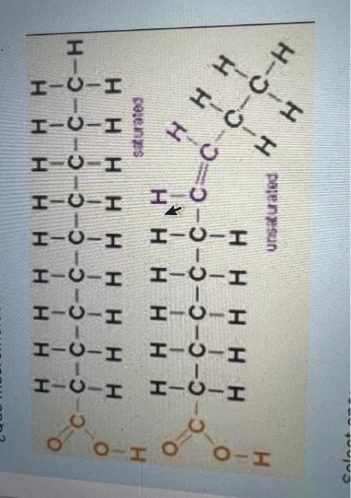 Solved What macromolecule is shown? | Chegg.com