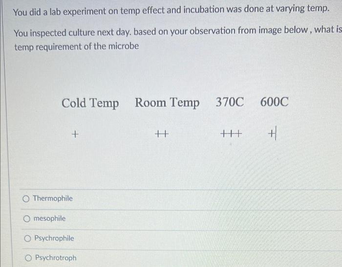 Solved You did a lab experiment on temp effect and | Chegg.com